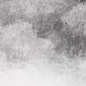 动漫美女裸体无遮挡
